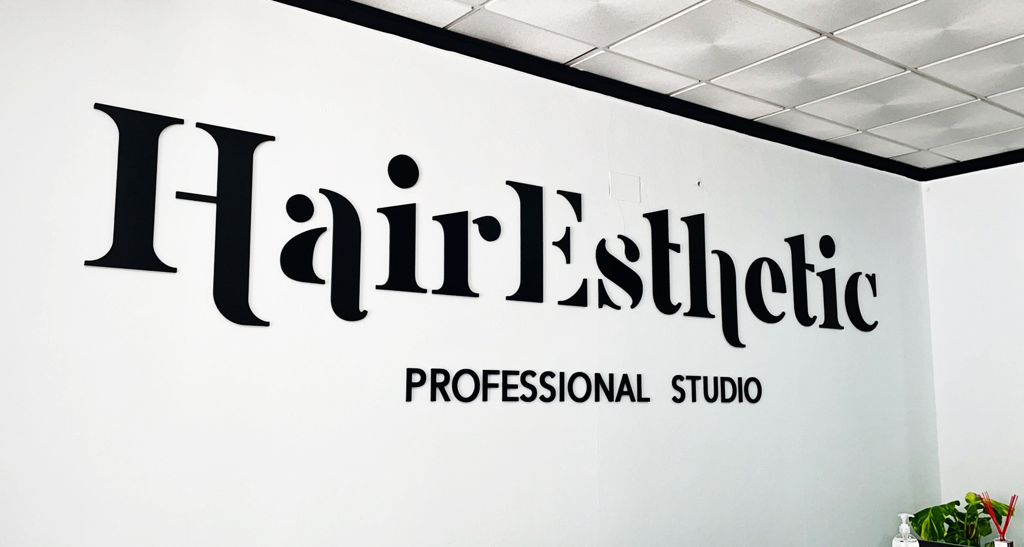 Branding. HairEsthetic